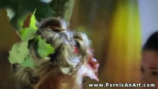 Kettő forró csajszi nyaldosja a punciját a szabadban